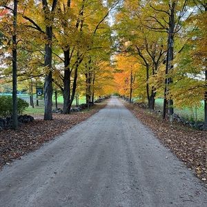 Meet your Posher, Dan